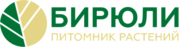 Главная
